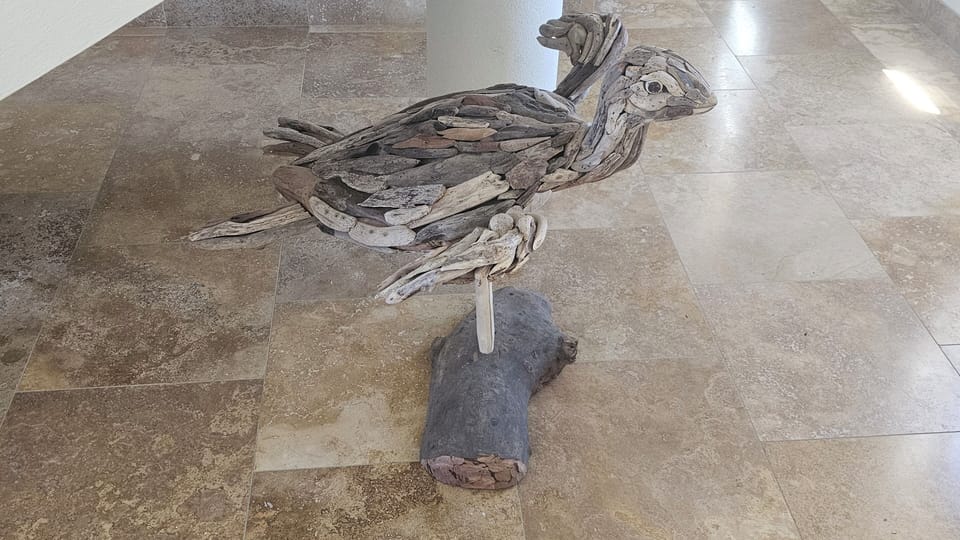 Driftwood turtle under the stairs
