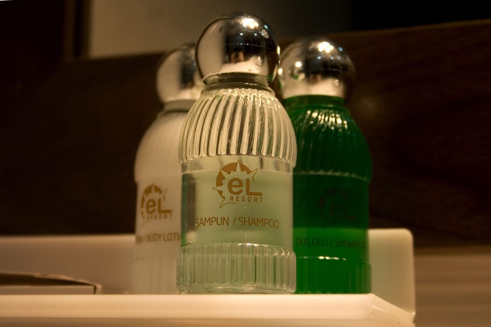 Hydromassage showerhead, free toiletries, hair dryer, bathrobes