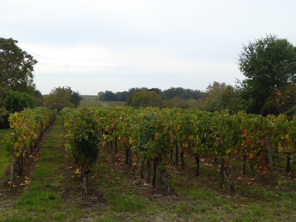Winery