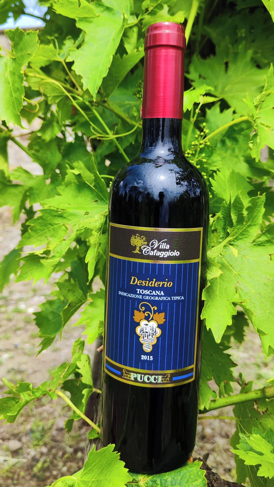 "Desiderio 2015" our Great Supertuscan Wine