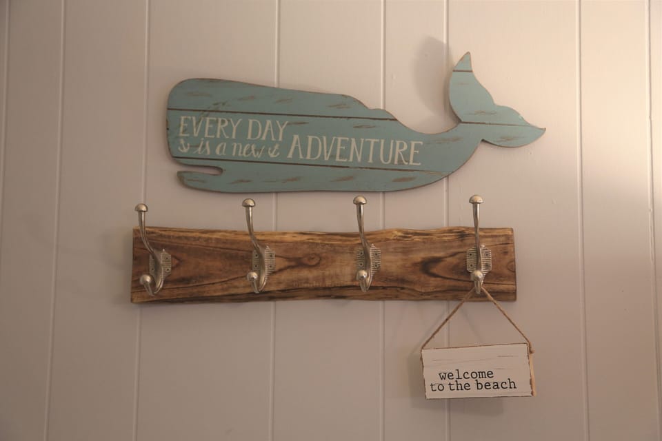 Come and Have an Adventure at Serenity Now!