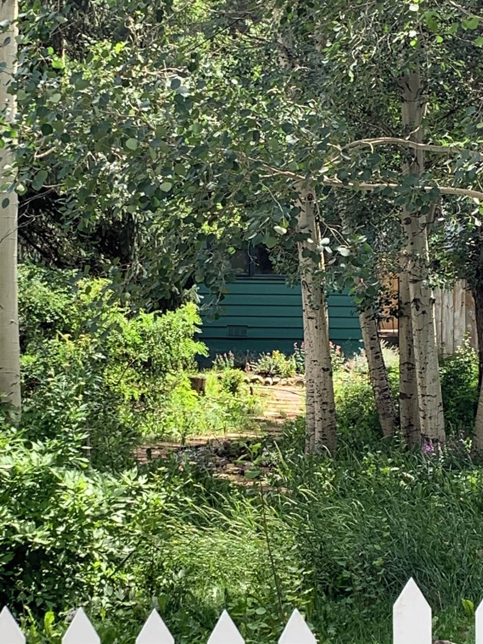 Naturalized front yard wildlife habitat
