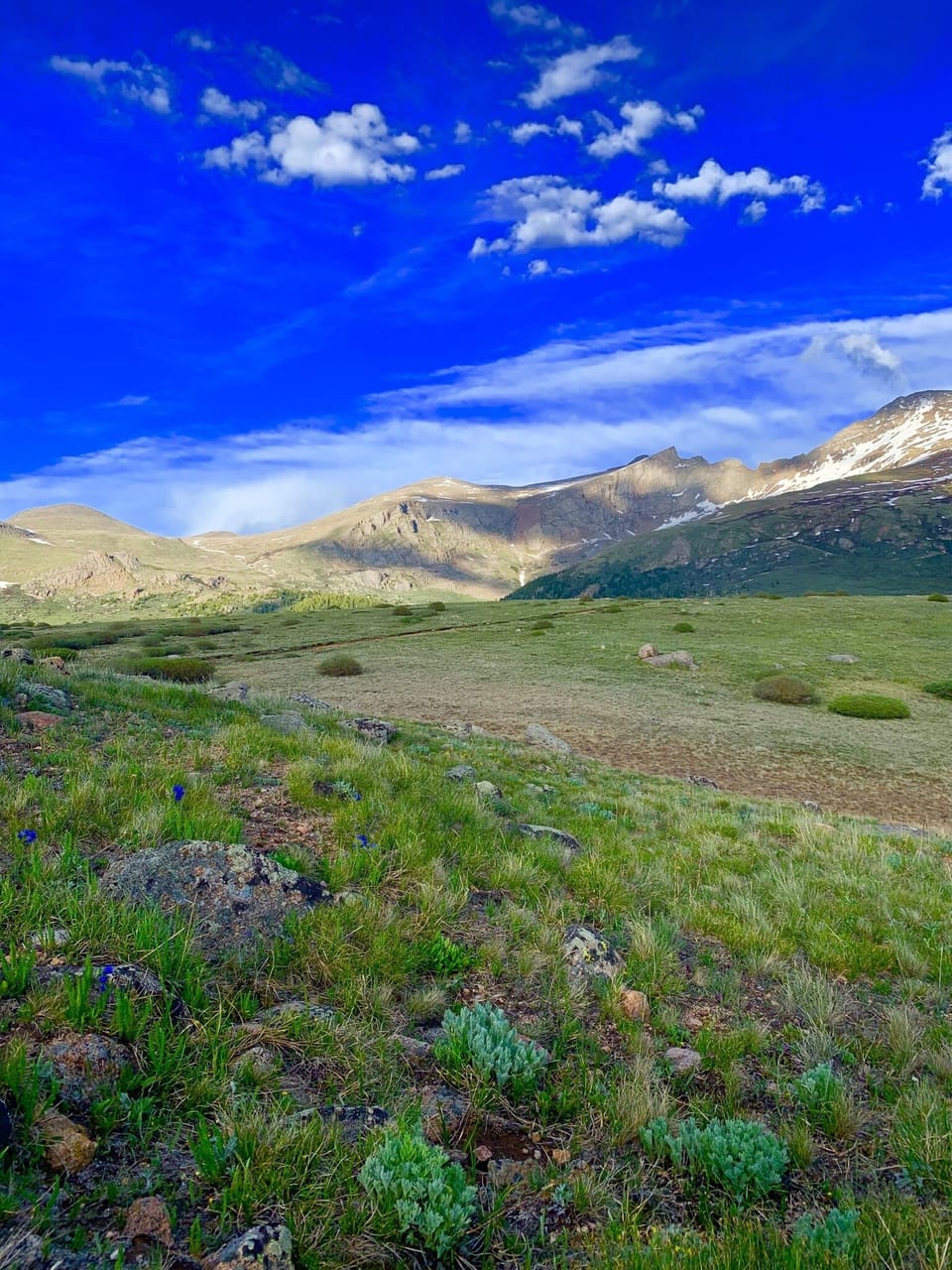 Guanella Pass