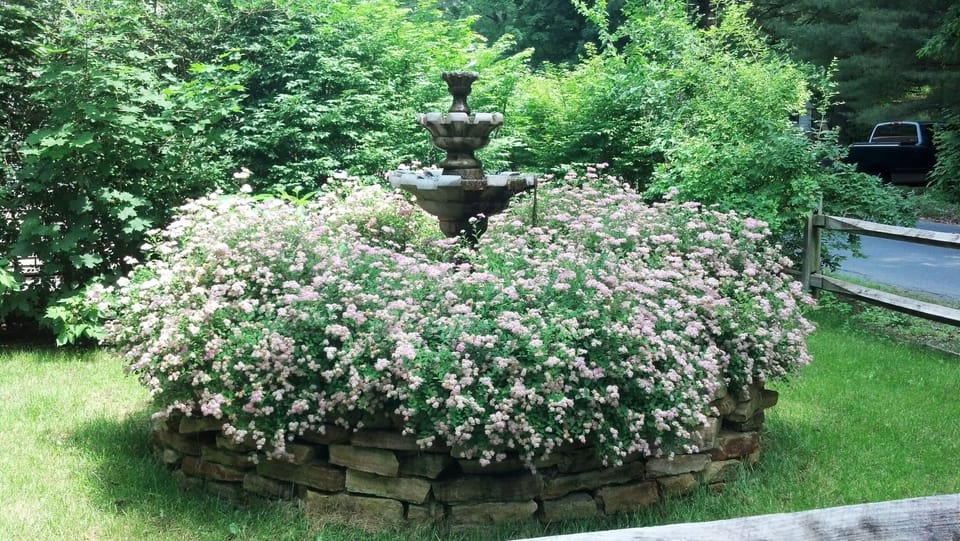 Fountain from Street side 
