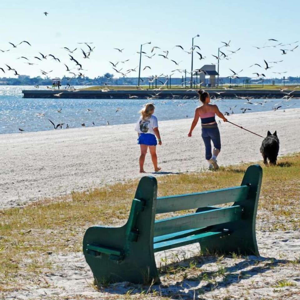 Take a stroll on Gulfport Beach, just 3 blocks from the cottage.