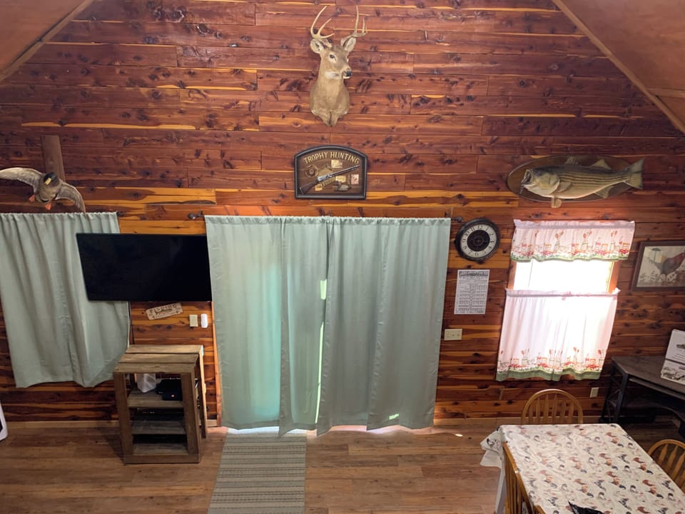 Your view from the loft.