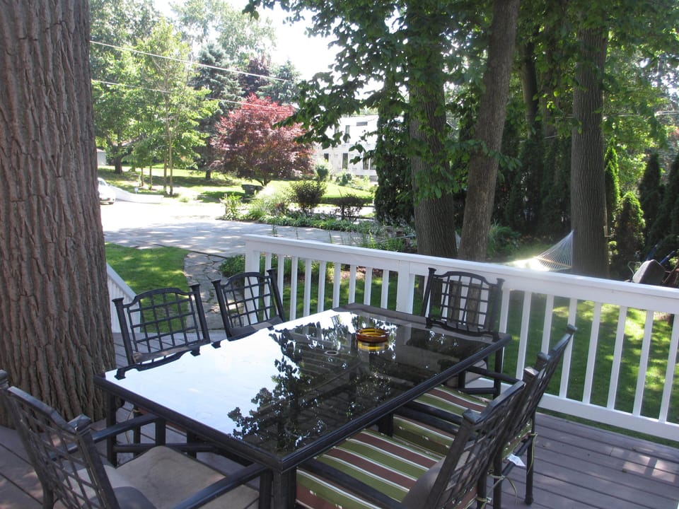 back porch and driveway in the background