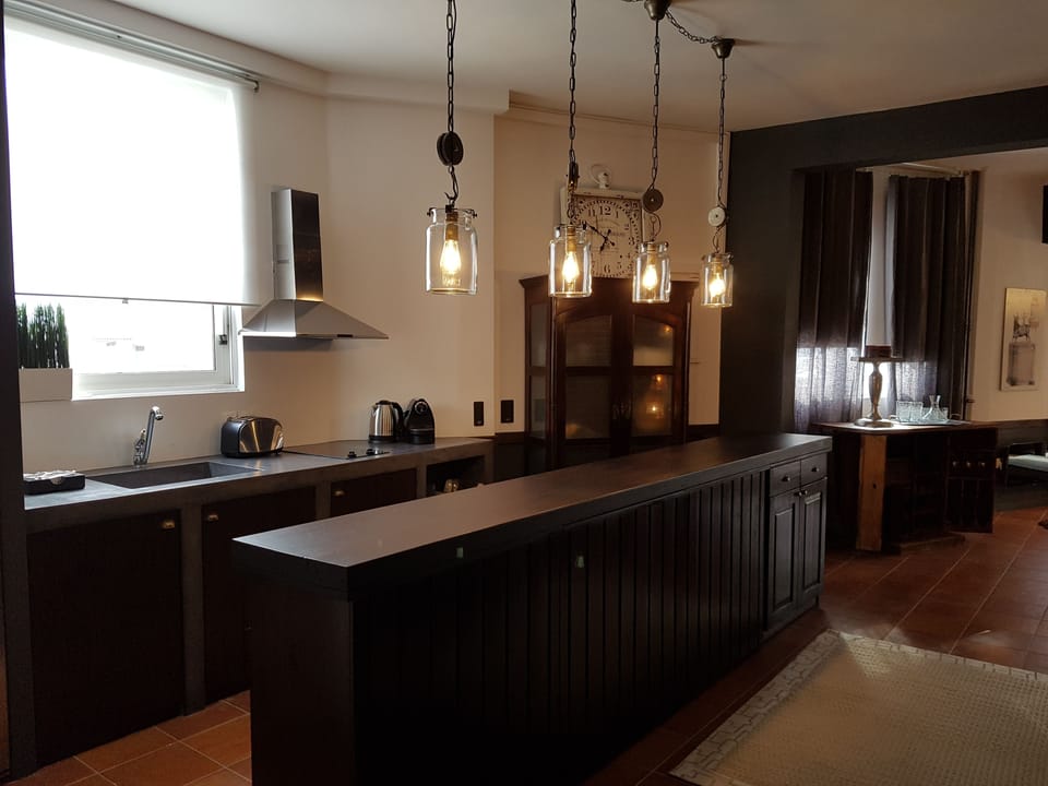 Deluxe Apartment | Private kitchenette | Fridge, stovetop, coffee/tea maker, electric kettle