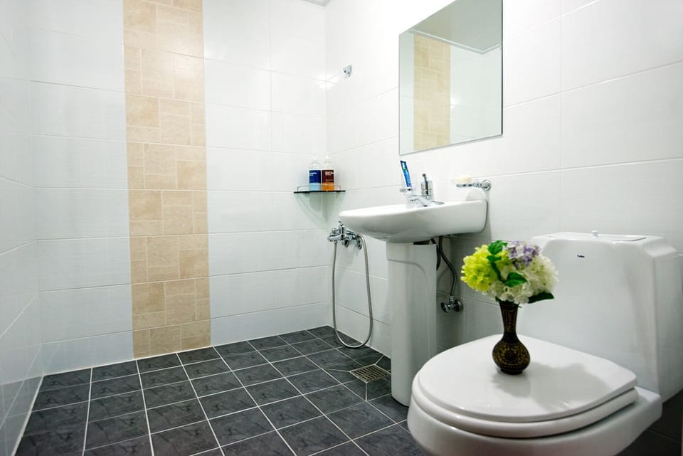 Shower, hair dryer, slippers, towels