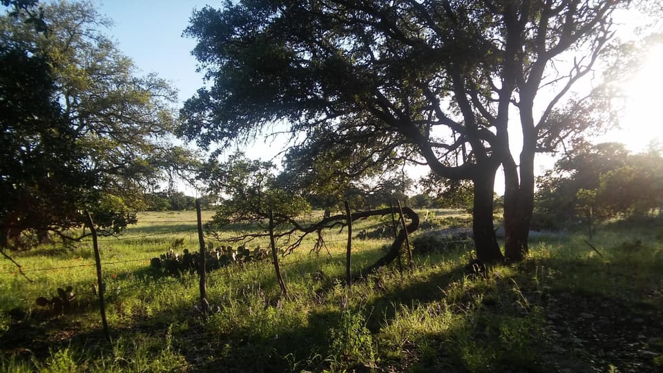 View from the back deck