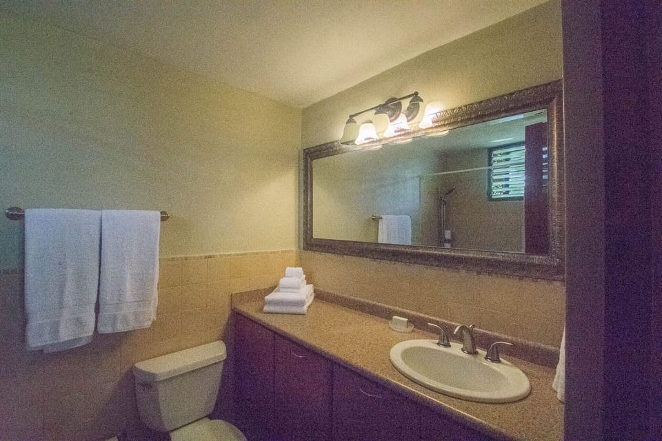 Master suite bathroom with stand-in shower, bidet and window.