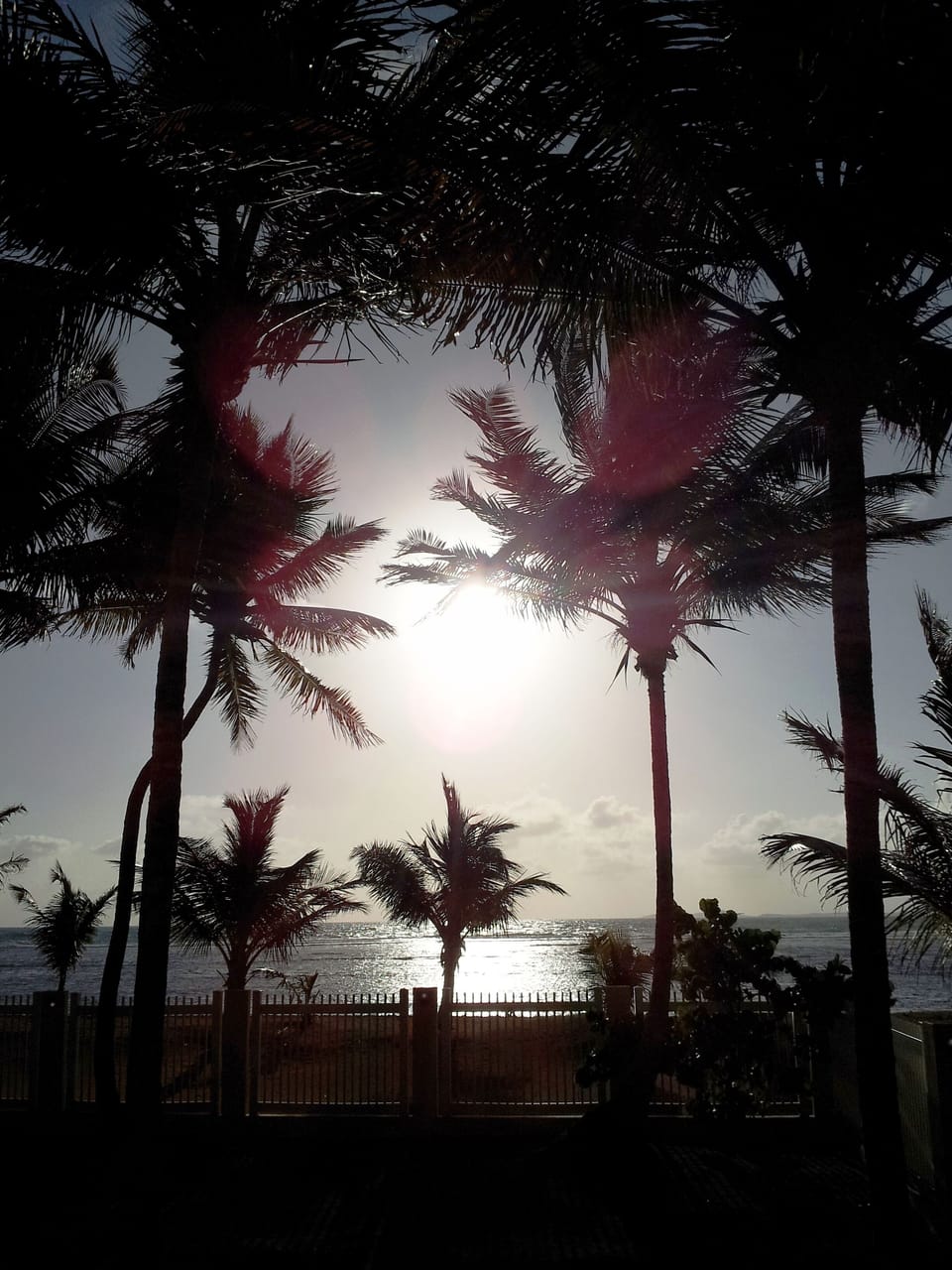 Salute to the rising Sun from the terrace - Buenos Días. Got vitamin D?