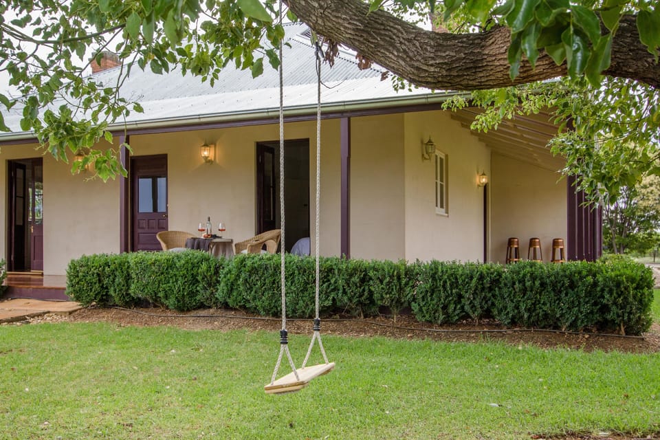 Every old grand tree needs a swing.....