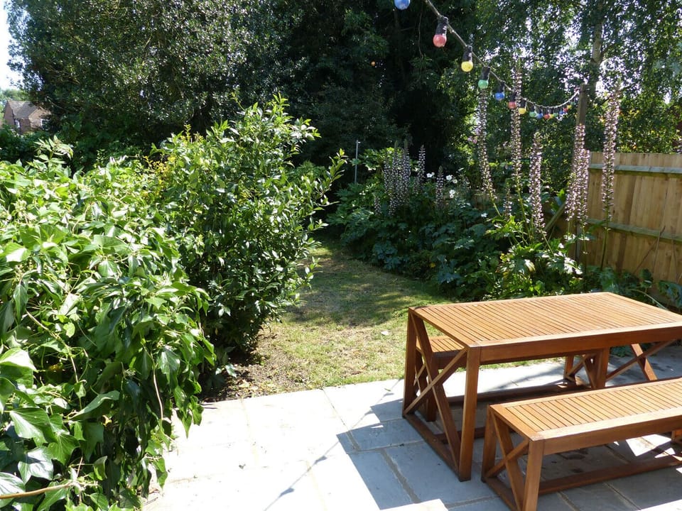 The garden in high summer