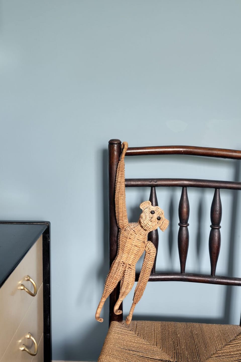 Little cane monkey