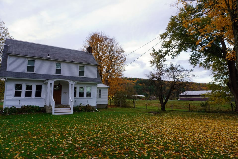 Beautiful Fall foliage at the house