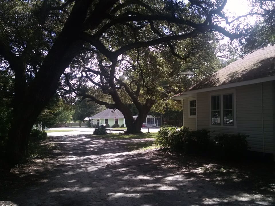 shaded parking