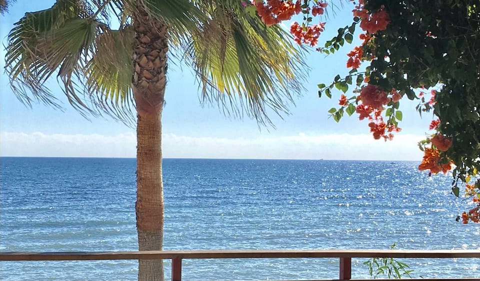 Garden,Sea view