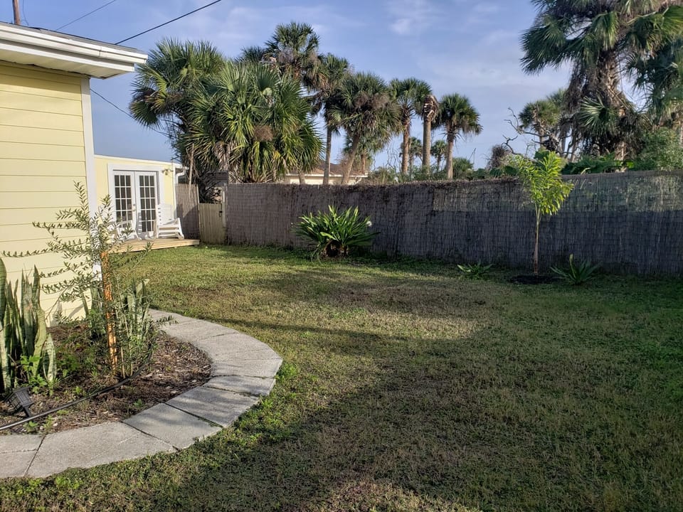 Back Yard