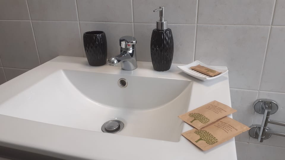Double Room (Andromeda e Thaddeus) | Bathroom amenities | Shower, free toiletries, hair dryer, towels