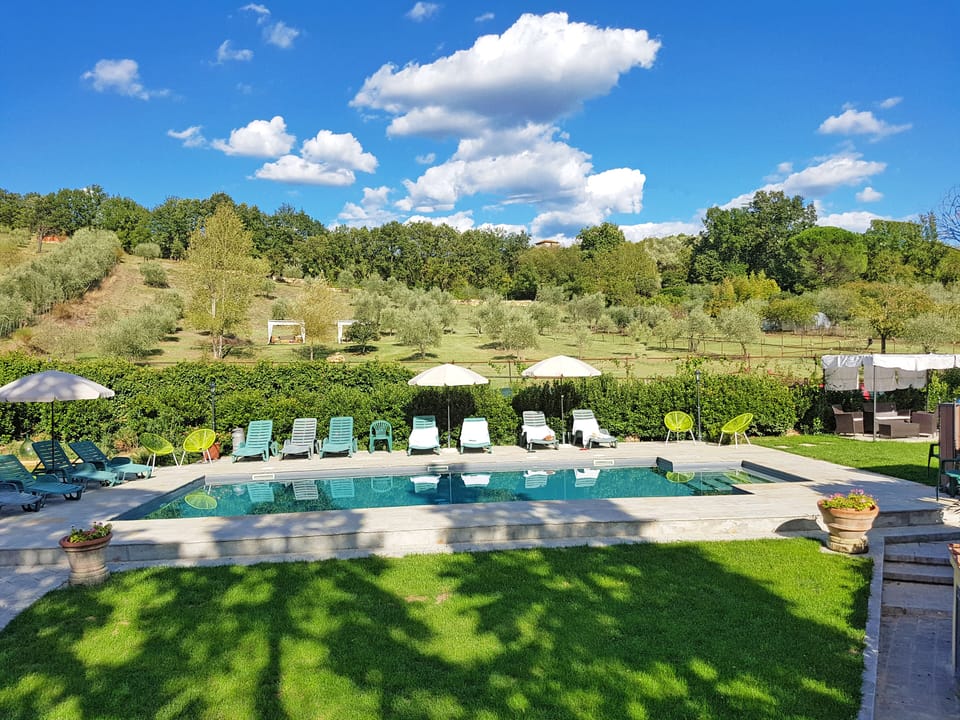 Swimming poll with salt water, surrounded by olive trees and vineyards