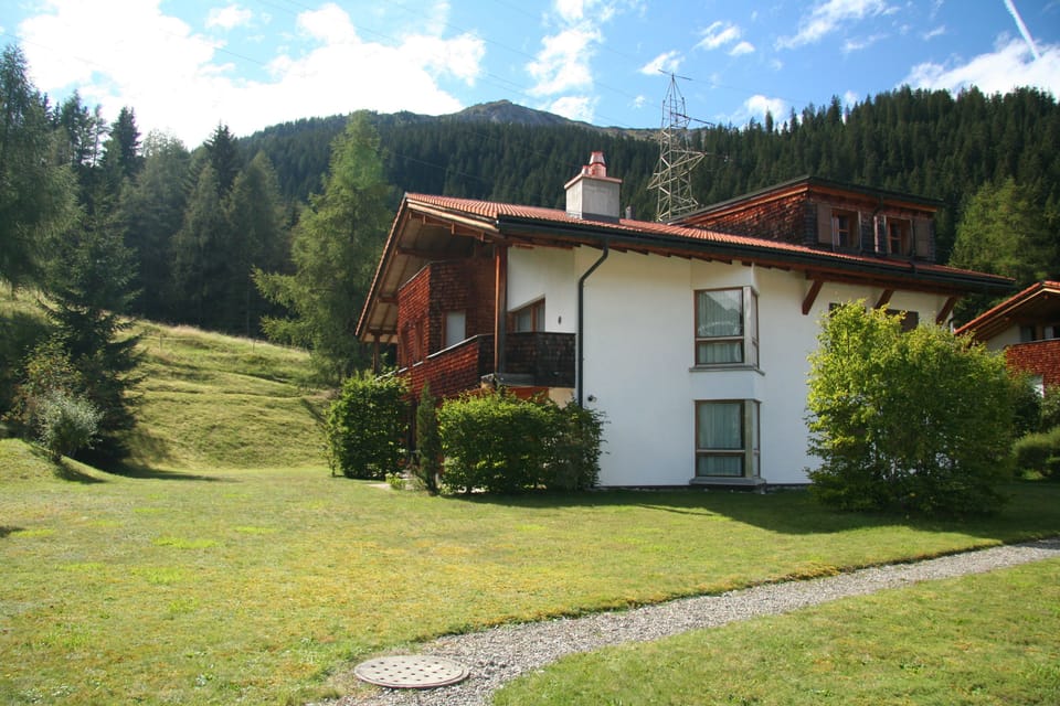 House in summer