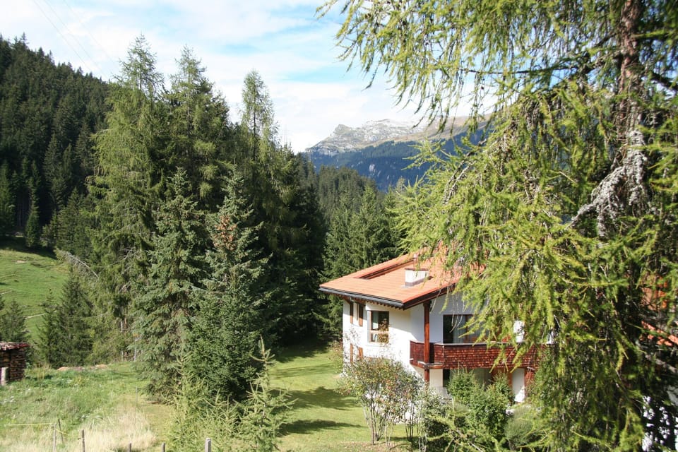 House in summer