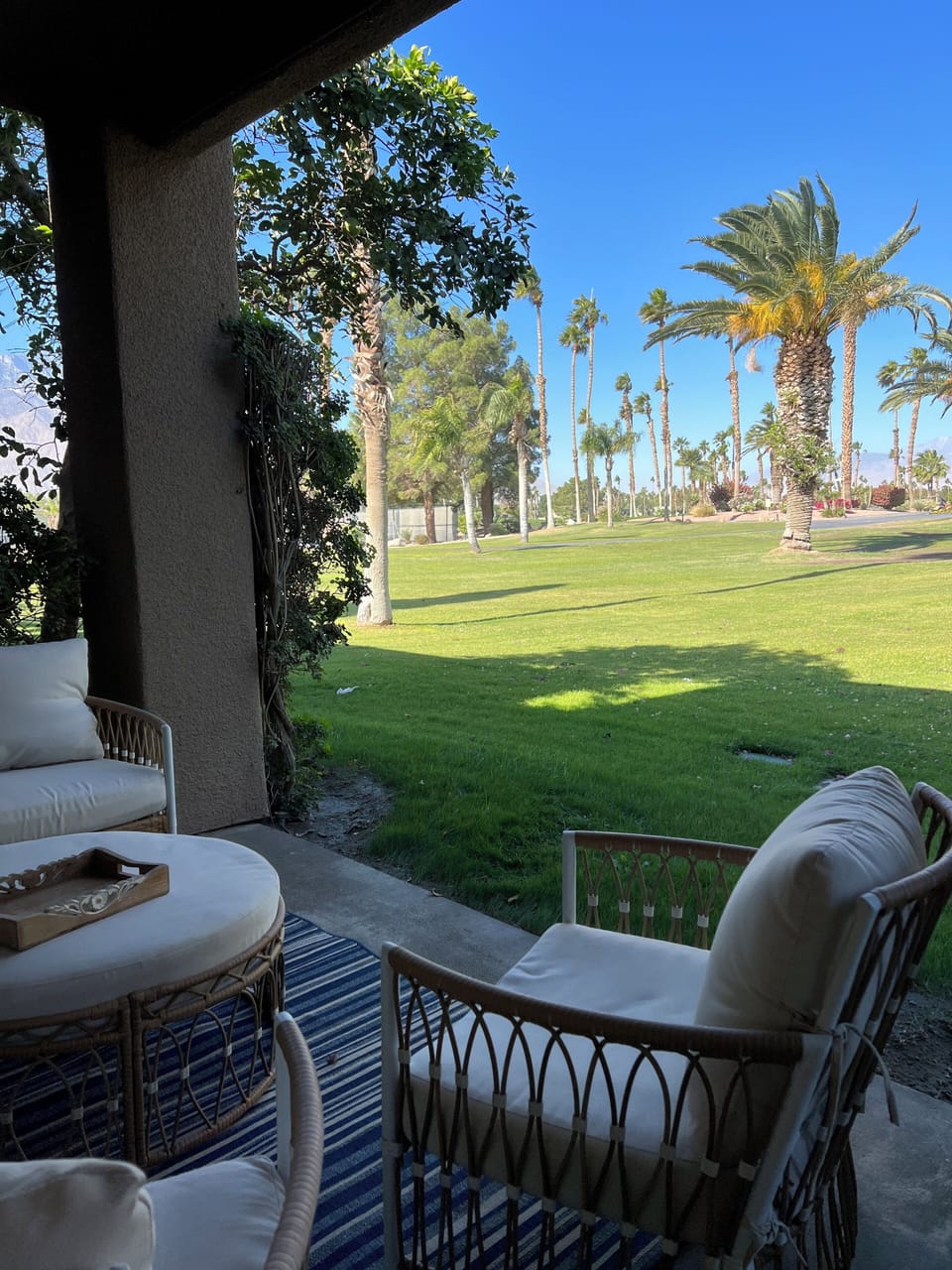Terrace/patio