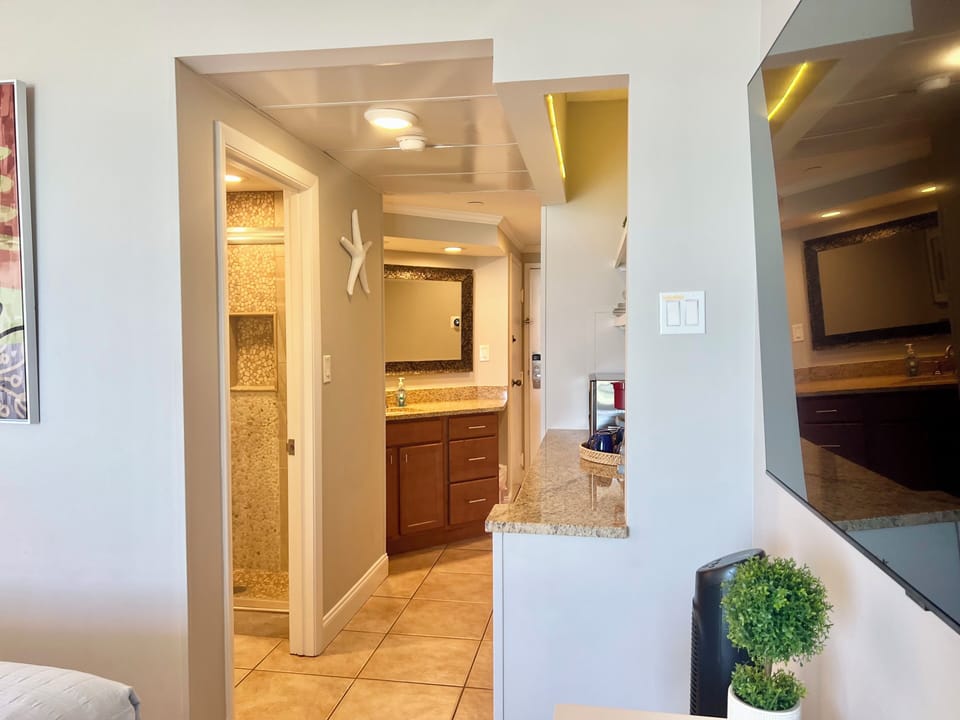 View toward the bathroom and kitchenette area