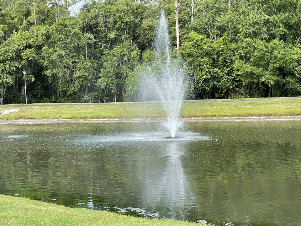 Fountain on lake behind house