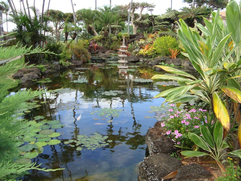 Koi pond that is on the grounds