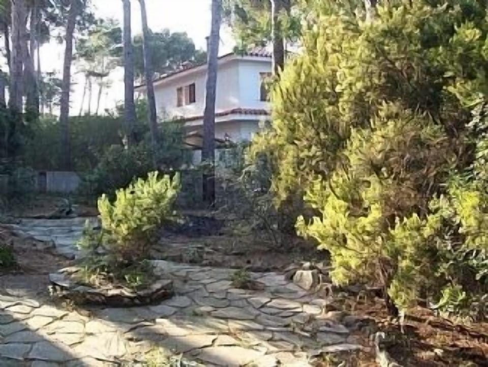 The rear garden