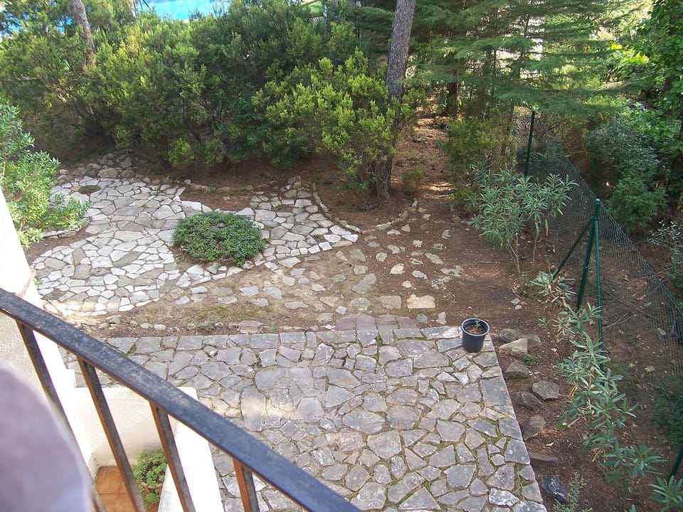 View of the rear garden