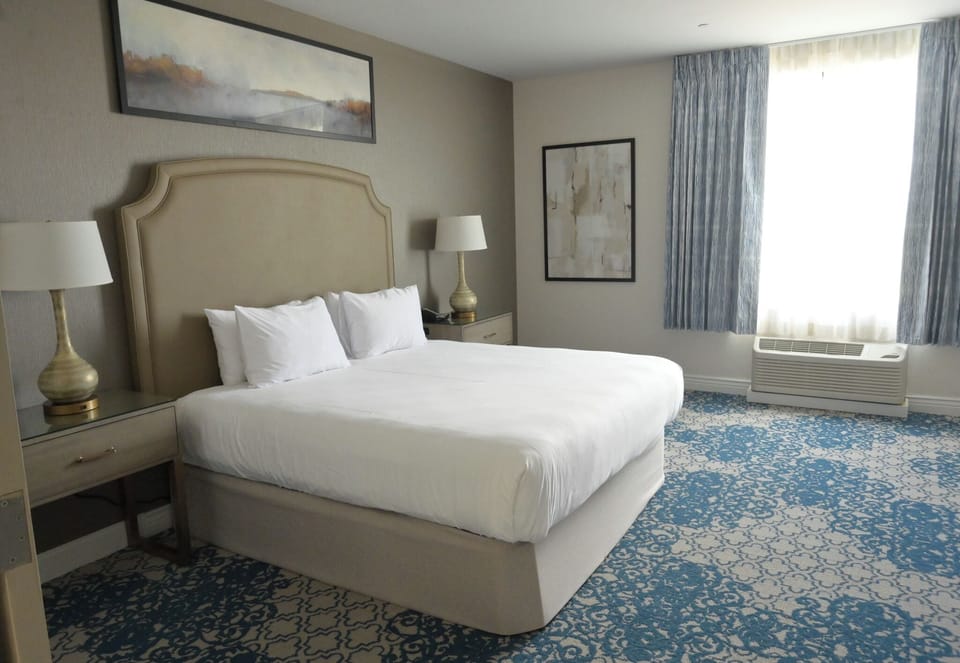 Standard Room, 1 King Bed | Egyptian cotton sheets, premium bedding, down comforters, desk