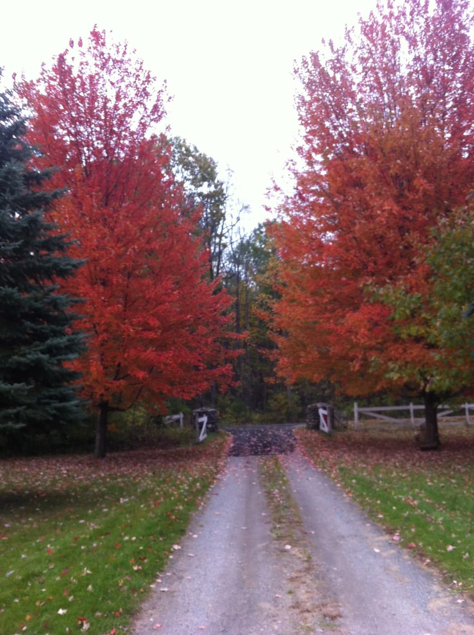 Entrance to the property (in the fall)