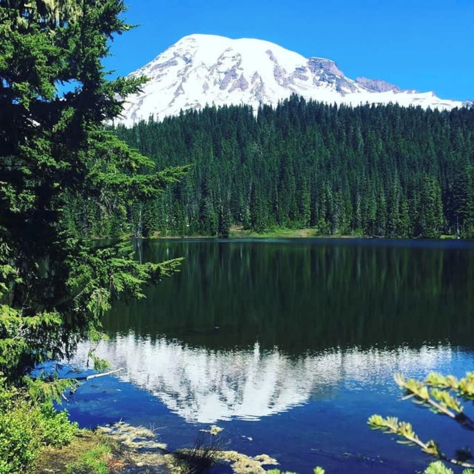 A beautiful drive to Mt Rainier is waiting for you!  You can be there in just under an hour from here.