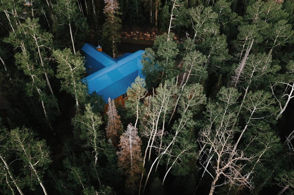 Spruce from above
