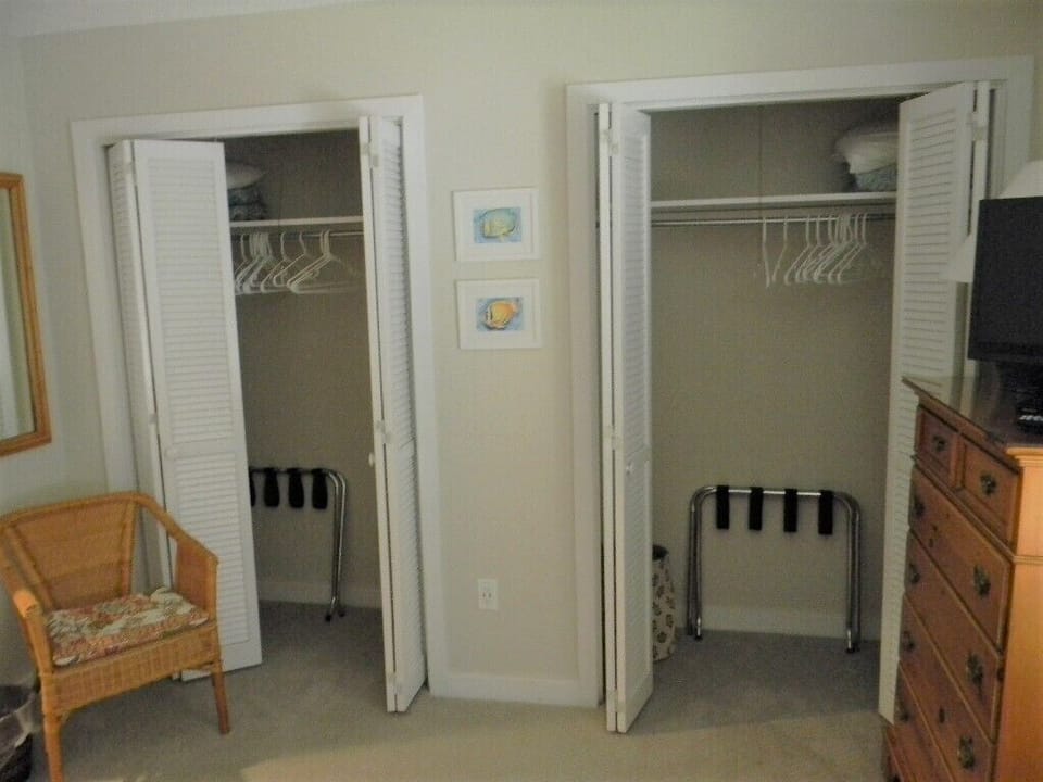 Great Closet Space in Guest Bedroom