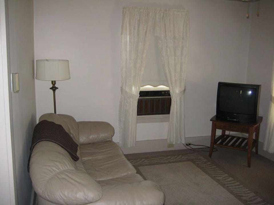 The Harriet's House | Living area | 40-inch TV with cable channels