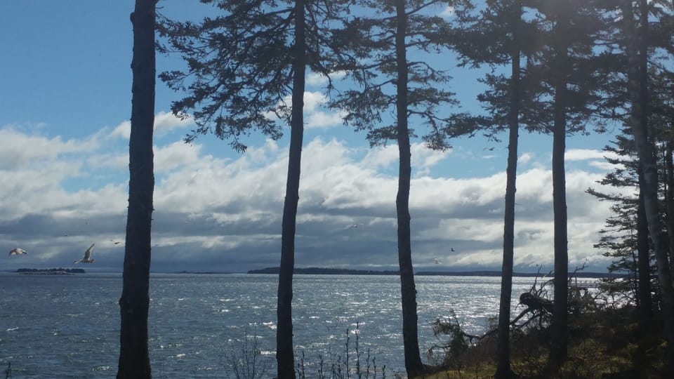 View from front yard
