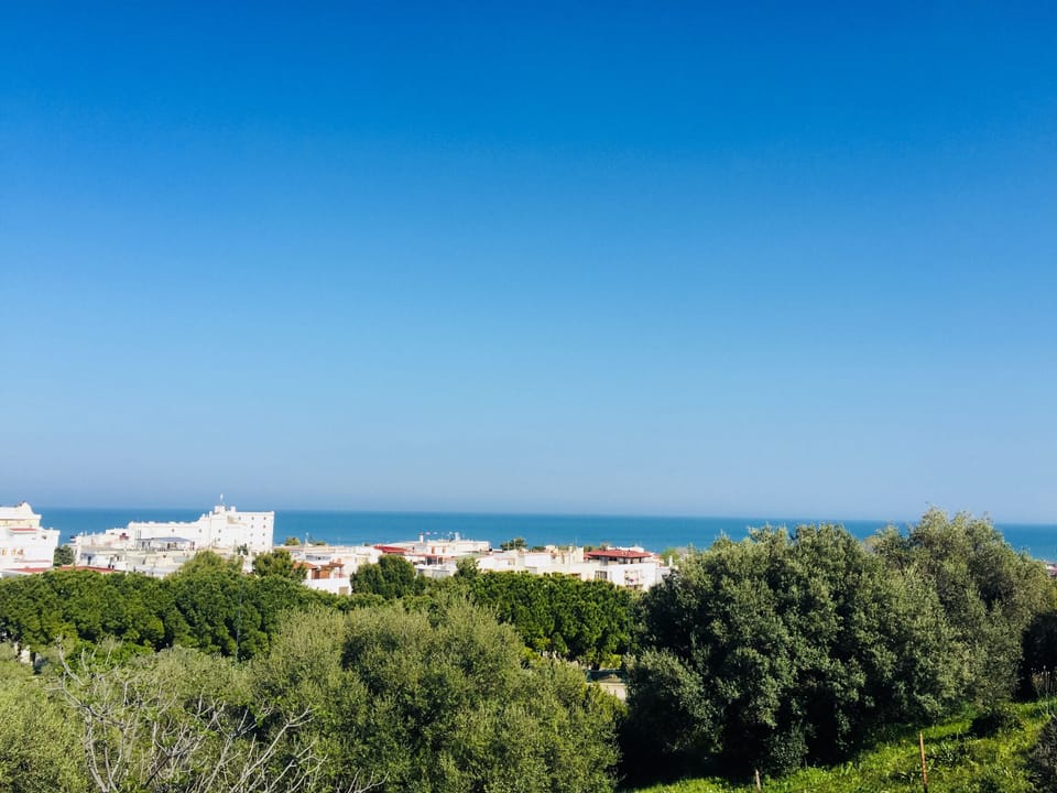 View from room