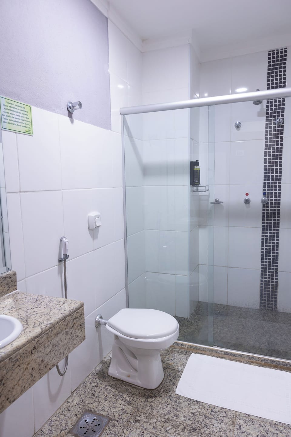 Bidet, towels, soap, toilet paper