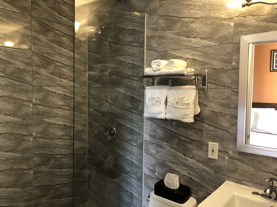 Combined shower/tub, hair dryer, towels