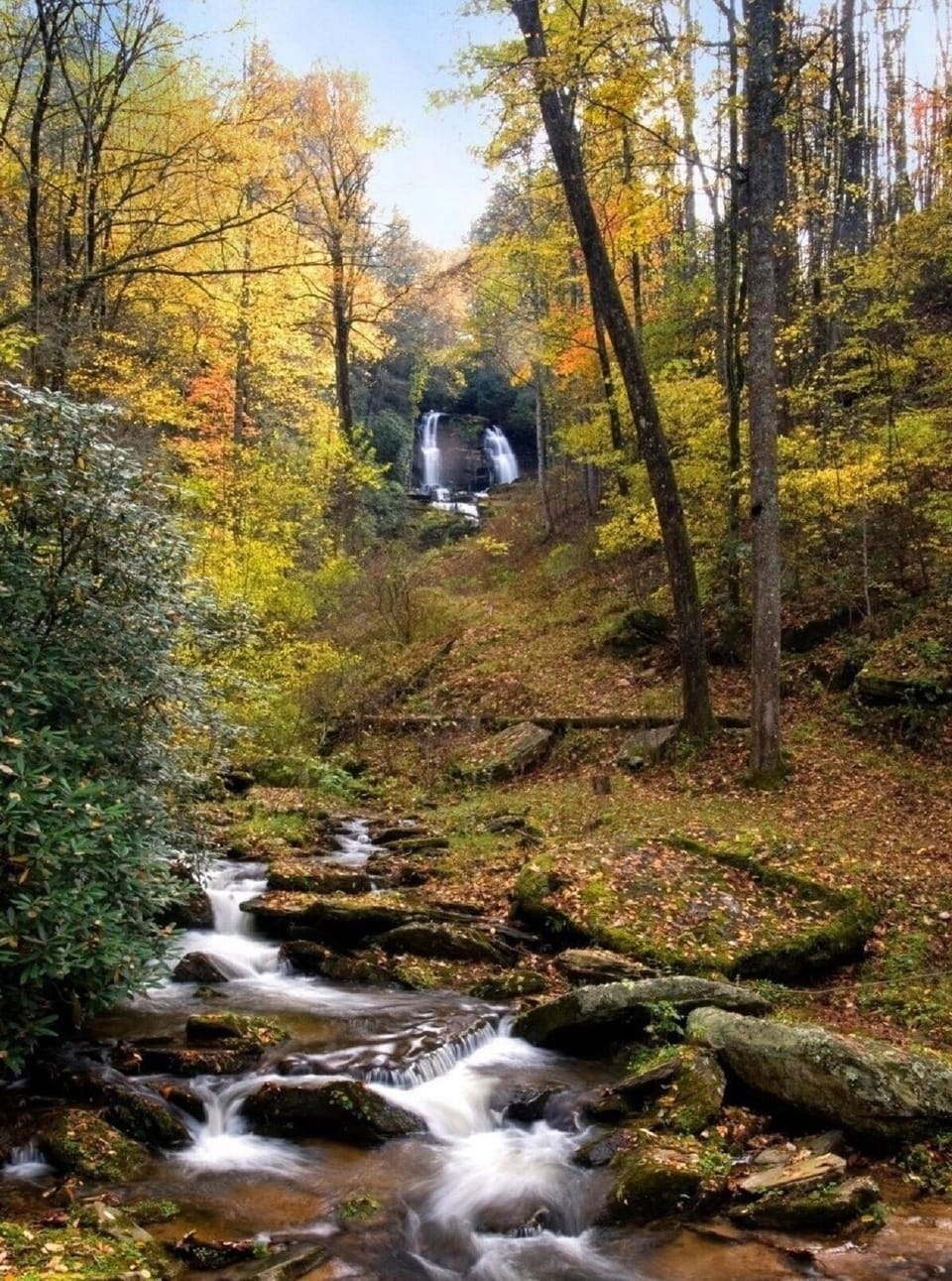 Shoal Falls -  The falls can be heard from the cabin but are on private property