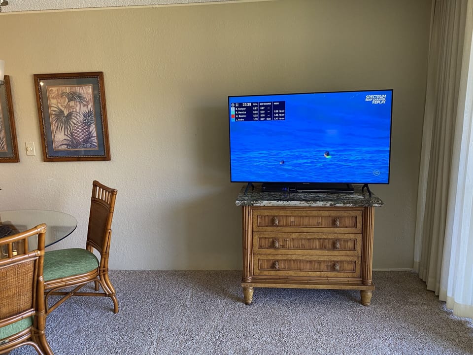 55" HD Big Screen