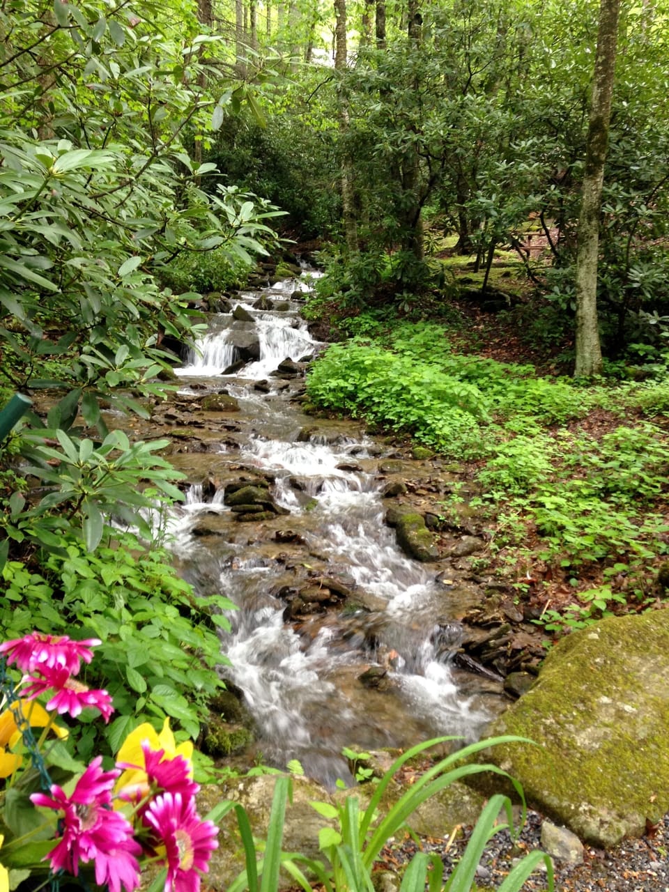 Crossing the Johnson Branch creek below the cabin.