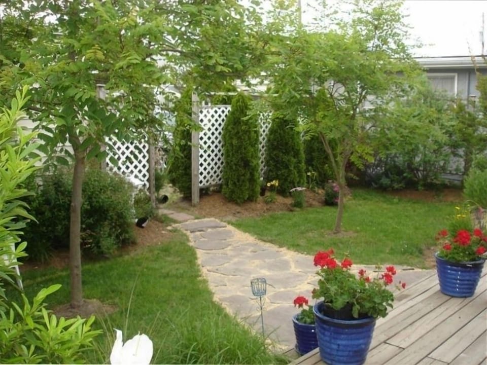 rear garden with fountain, cottage 2 and 3