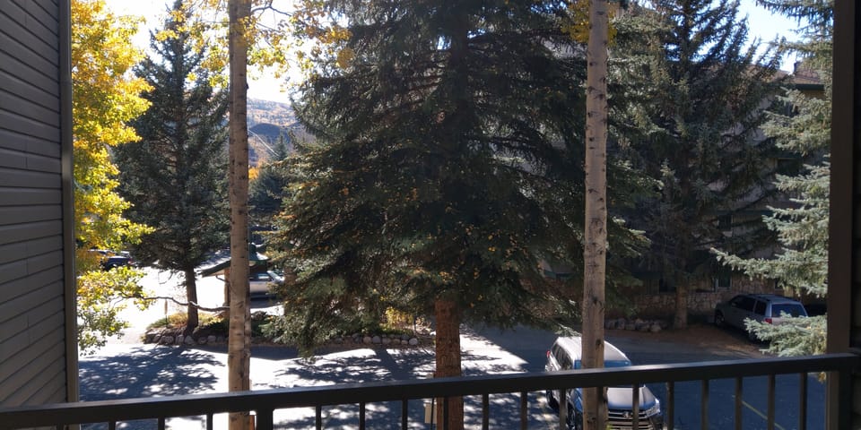 Beaver Creek West Condo #15 view from balcony
