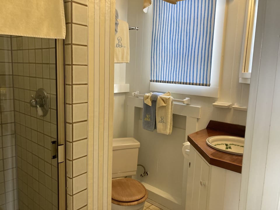Bathroom - Shower to Left