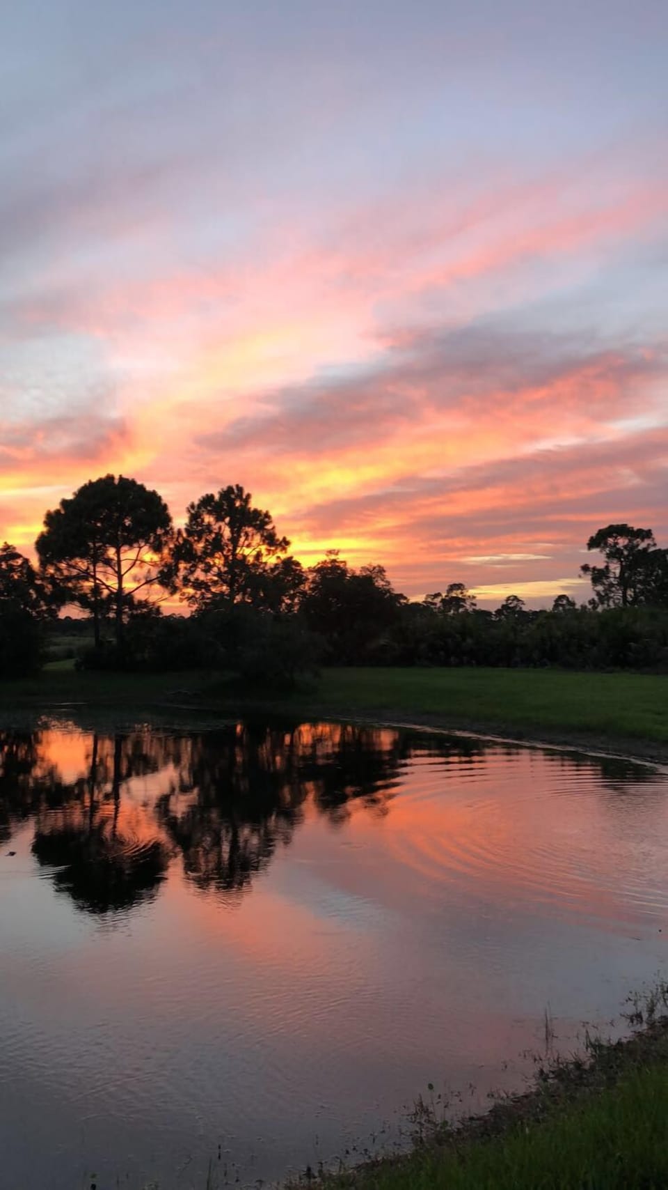 Sunset view from balcony